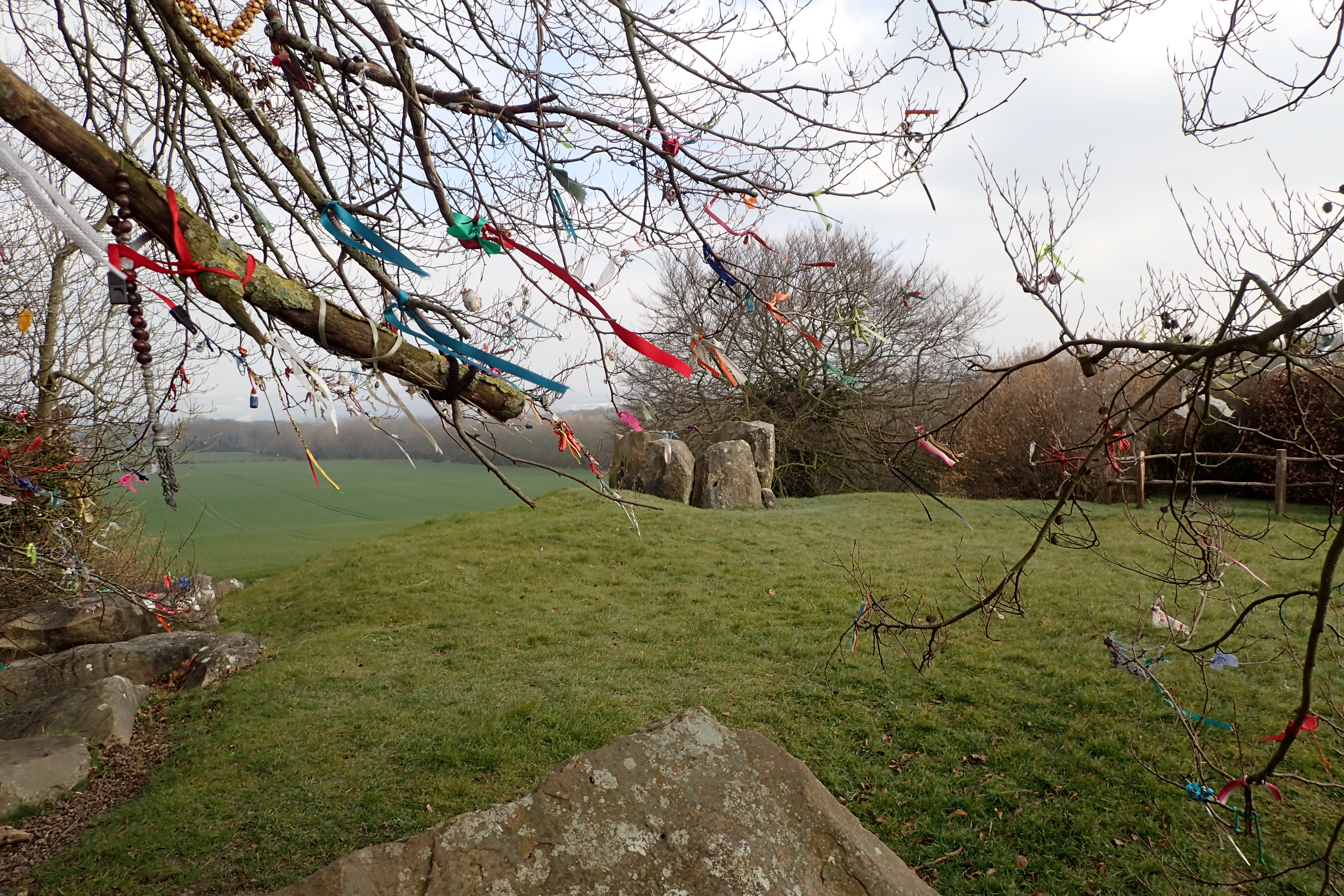 Close to the Pilgrims Way, another path briefly encountered, the Countryway passes by Coldrum Long Barrow. A Neolithic burial chamber of about 2500 B.C. It still attracts the attention of more modern day folk, who have adorned the nearby trees with trinkets and letters 