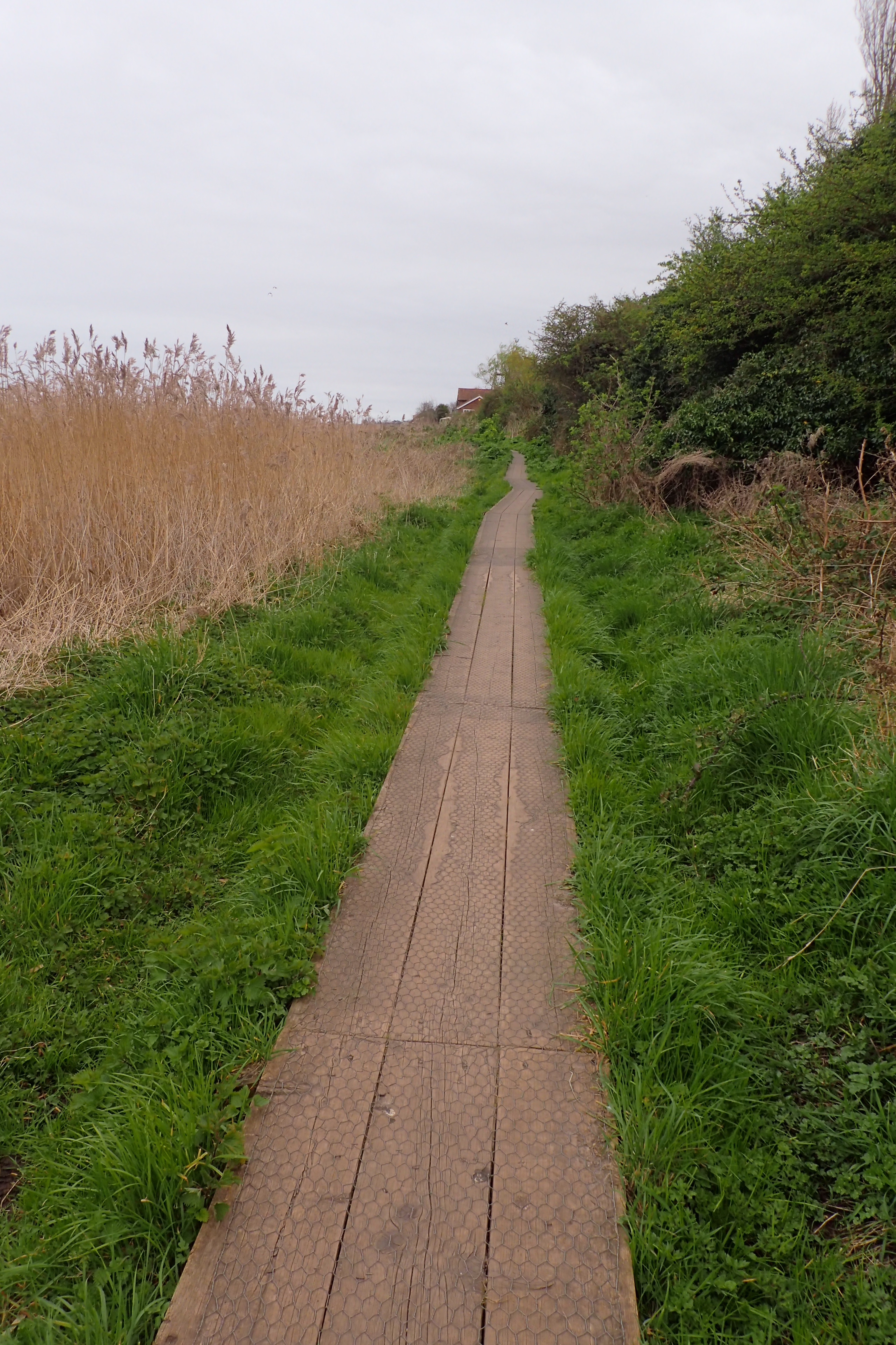 There were a couple of miles of board walks in all