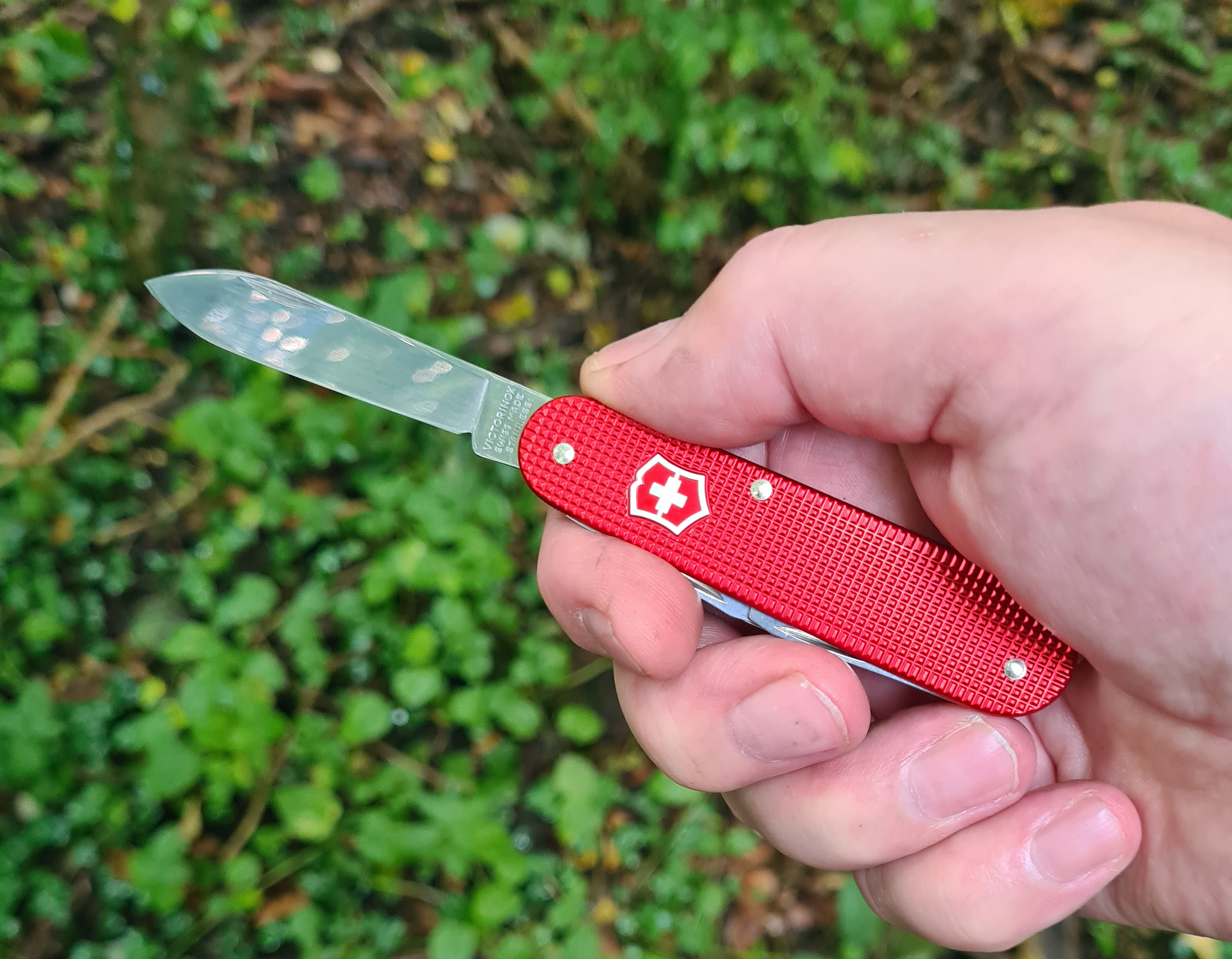 The same size large blade is found on both Alox Bantam and Cadet. The slim knife fits comfortably into the hand
